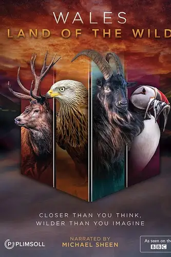 Уэльс: дикая земля (2019) онлайн