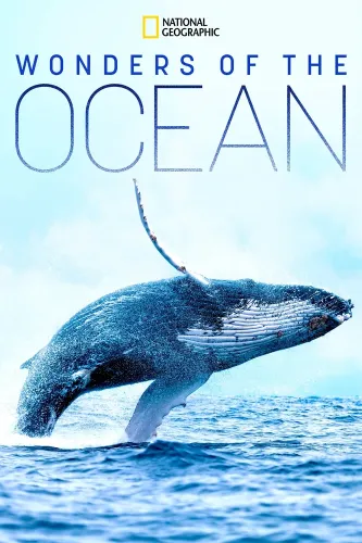 Чудеса океана (2019) онлайн