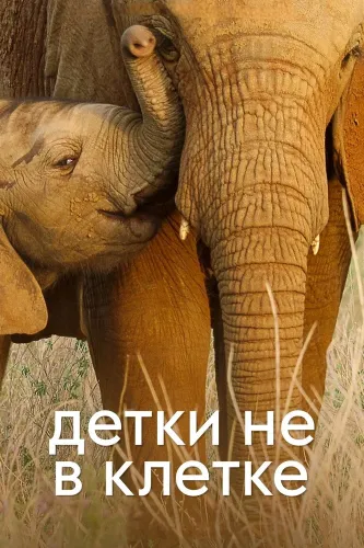 Детки не в клетке (2022) онлайн