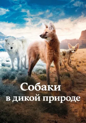 Собаки в дикой природе (2022) онлайн