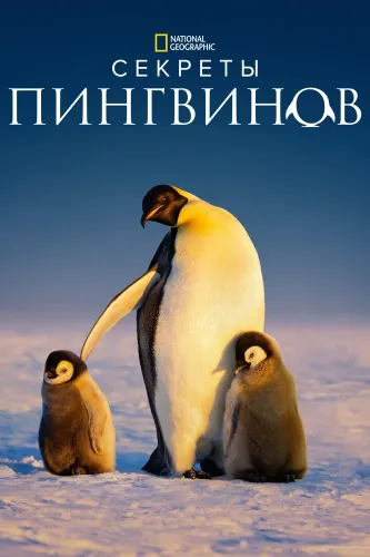 Секреты пингвинов (2025) смотреть онлайн
