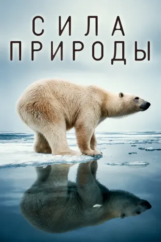 Сила природы (2026) онлайн