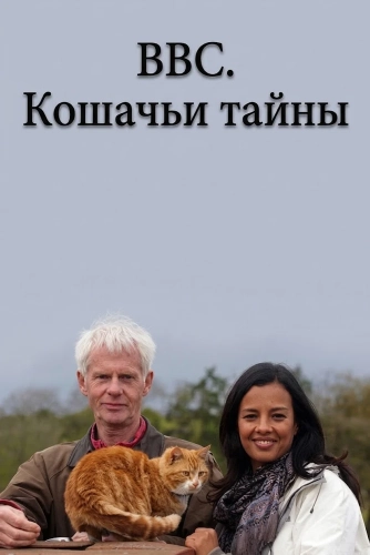 BBC. Кошачьи тайны (2014) смотреть онлайн